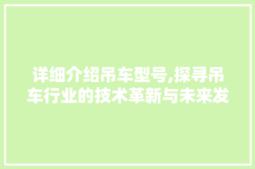 详细介绍吊车型号,探寻吊车行业的技术革新与未来发展