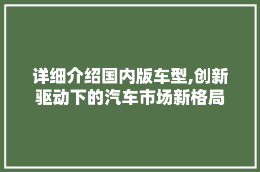 详细介绍国内版车型,创新驱动下的汽车市场新格局