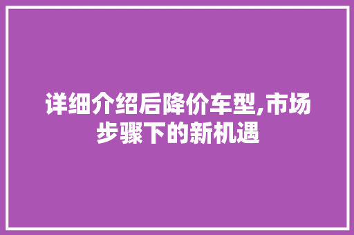 详细介绍后降价车型,市场步骤下的新机遇
