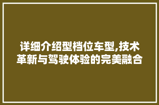 详细介绍型档位车型,技术革新与驾驶体验的完美融合