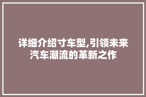 详细介绍寸车型,引领未来汽车潮流的革新之作