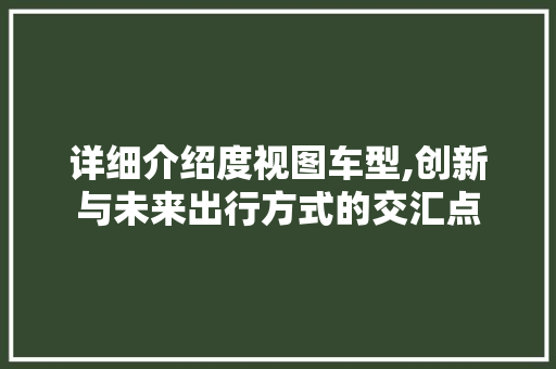 详细介绍度视图车型,创新与未来出行方式的交汇点