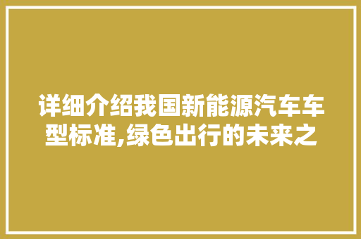 详细介绍我国新能源汽车车型标准,绿色出行的未来之路