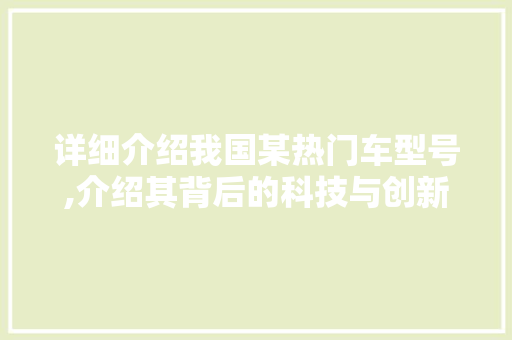 详细介绍我国某热门车型号,介绍其背后的科技与创新