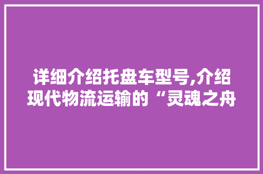 详细介绍托盘车型号,介绍现代物流运输的“灵魂之舟”