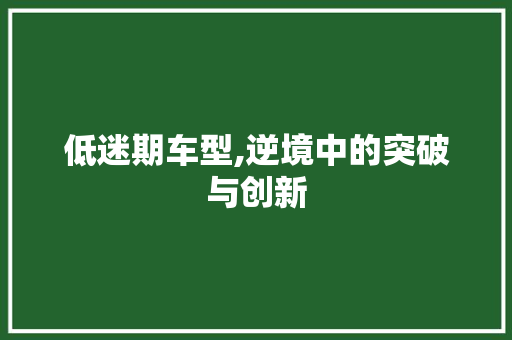 低迷期车型,逆境中的突破与创新