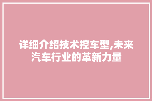 详细介绍技术控车型,未来汽车行业的革新力量