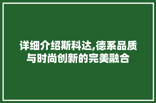 详细介绍斯科达,德系品质与时尚创新的完美融合