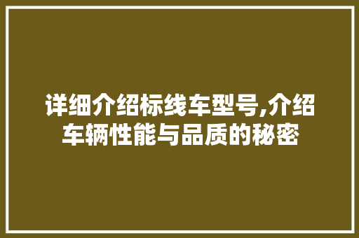 详细介绍标线车型号,介绍车辆性能与品质的秘密