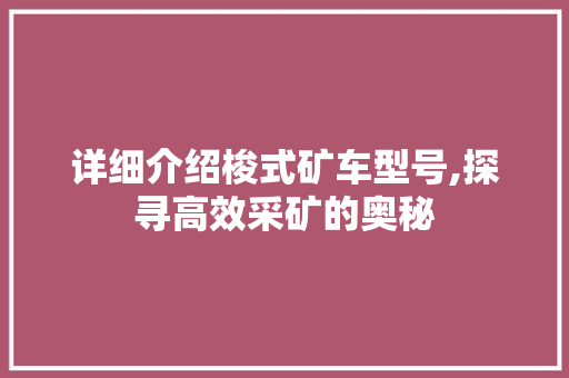 详细介绍梭式矿车型号,探寻高效采矿的奥秘