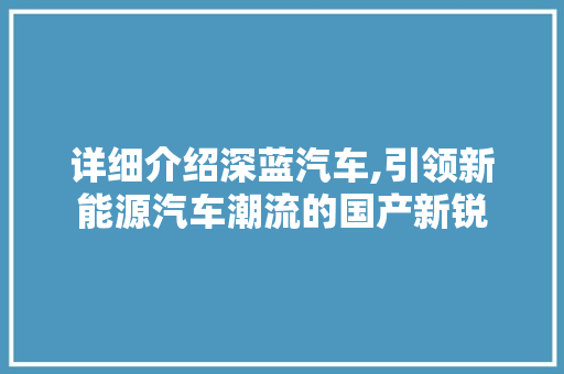 详细介绍深蓝汽车,引领新能源汽车潮流的国产新锐