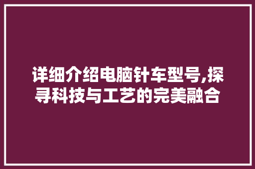 详细介绍电脑针车型号,探寻科技与工艺的完美融合