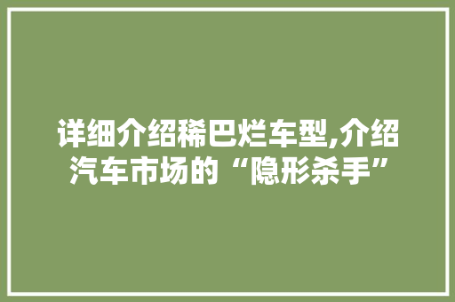 详细介绍稀巴烂车型,介绍汽车市场的“隐形杀手”