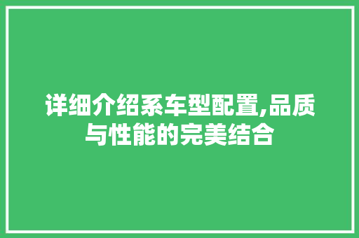 详细介绍系车型配置,品质与性能的完美结合