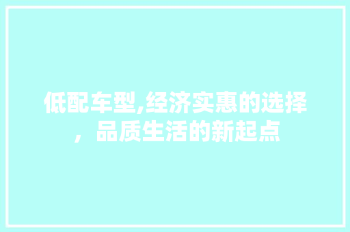 低配车型,经济实惠的选择，品质生活的新起点