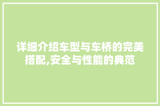 详细介绍车型与车桥的完美搭配,安全与性能的典范