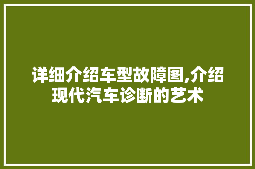 详细介绍车型故障图,介绍现代汽车诊断的艺术