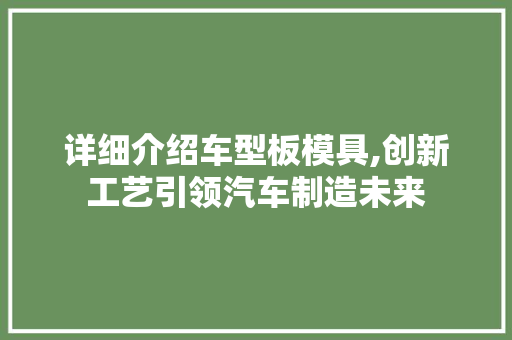详细介绍车型板模具,创新工艺引领汽车制造未来