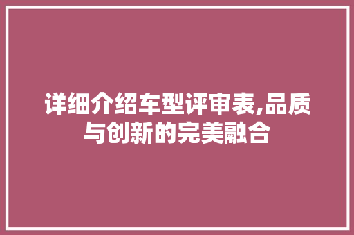 详细介绍车型评审表,品质与创新的完美融合
