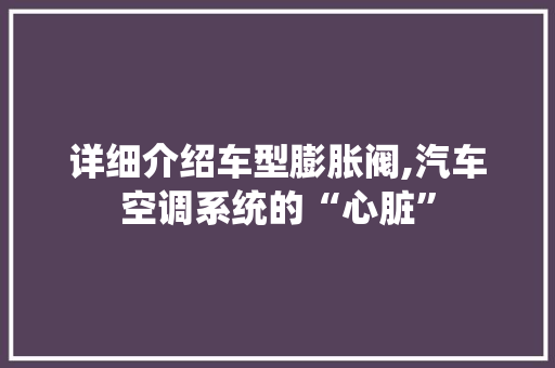详细介绍车型膨胀阀,汽车空调系统的“心脏”