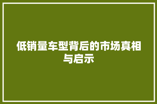 低销量车型背后的市场真相与启示