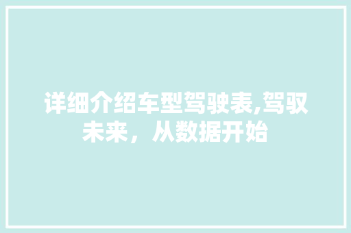 详细介绍车型驾驶表,驾驭未来，从数据开始