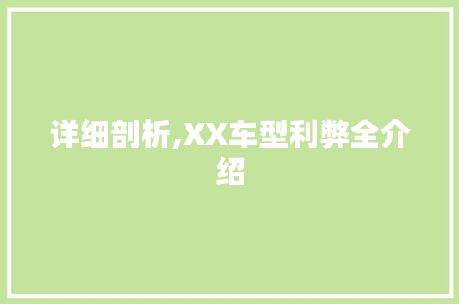 详细剖析,XX车型利弊全介绍