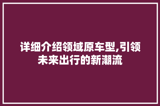 详细介绍领域原车型,引领未来出行的新潮流