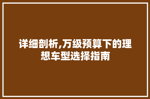 详细剖析,万级预算下的理想车型选择指南