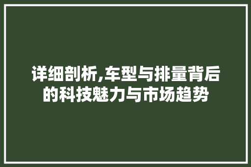 详细剖析,车型与排量背后的科技魅力与市场趋势