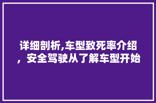 详细剖析,车型致死率介绍，安全驾驶从了解车型开始