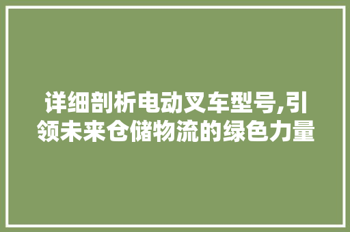 详细剖析电动叉车型号,引领未来仓储物流的绿色力量