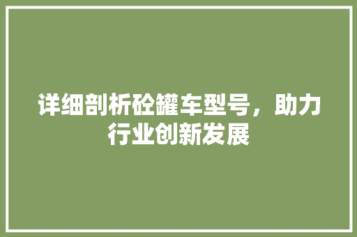 详细剖析砼罐车型号，助力行业创新发展
