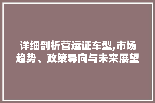 详细剖析营运证车型,市场趋势、政策导向与未来展望
