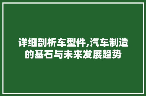 详细剖析车型件,汽车制造的基石与未来发展趋势