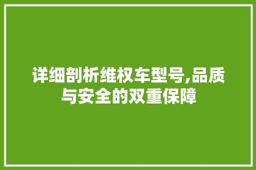 详细剖析维权车型号,品质与安全的双重保障