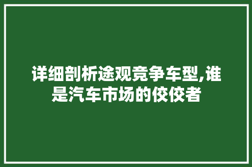 详细剖析途观竞争车型,谁是汽车市场的佼佼者