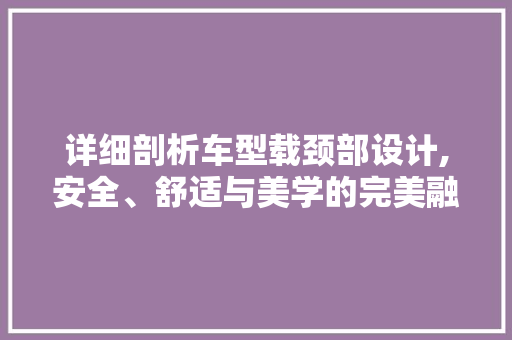 详细剖析车型载颈部设计,安全、舒适与美学的完美融合