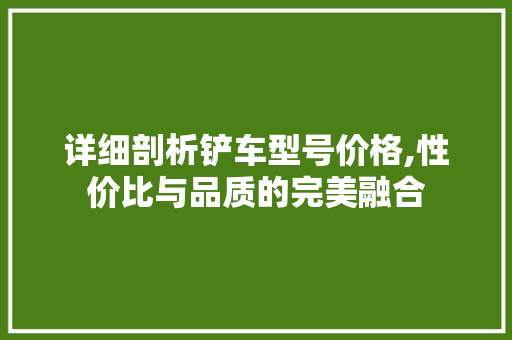 详细剖析铲车型号价格,性价比与品质的完美融合