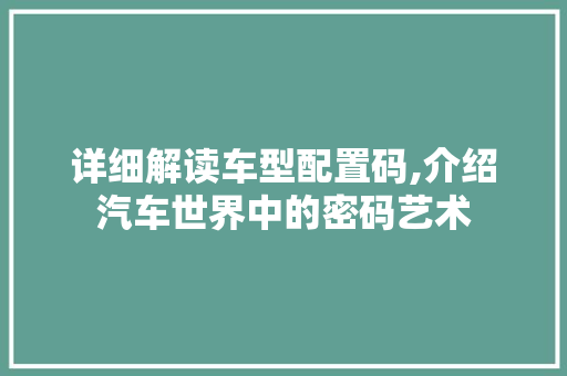 详细解读车型配置码,介绍汽车世界中的密码艺术 蓄电池配件