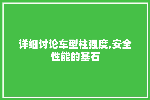 详细讨论车型柱强度,安全性能的基石