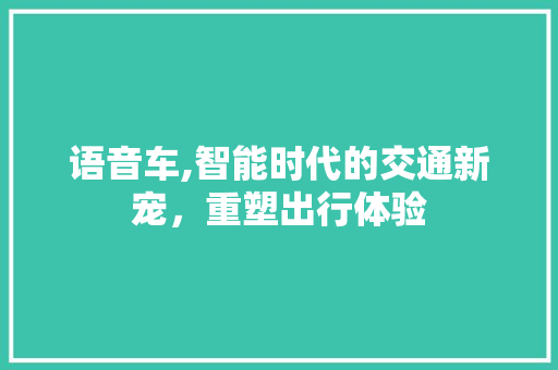 语音车,智能时代的交通新宠，重塑出行体验