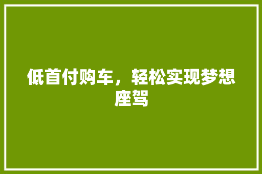 低首付购车，轻松实现梦想座驾