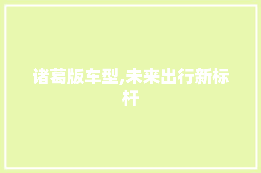 诸葛版车型,未来出行新标杆
