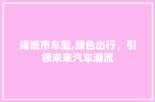 诸城市车型,绿色出行，引领未来汽车潮流