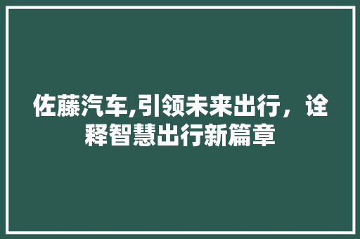 佐藤汽车,引领未来出行，诠释智慧出行新篇章