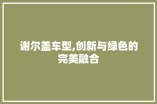 谢尔盖车型,创新与绿色的完美融合