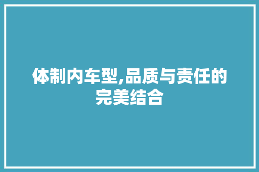 体制内车型,品质与责任的完美结合 变速箱配件