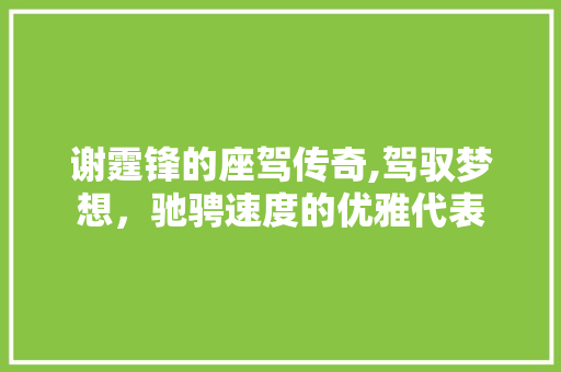 谢霆锋的座驾传奇,驾驭梦想，驰骋速度的优雅代表