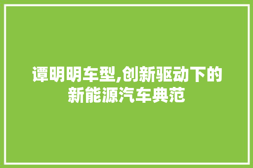 谭明明车型,创新驱动下的新能源汽车典范